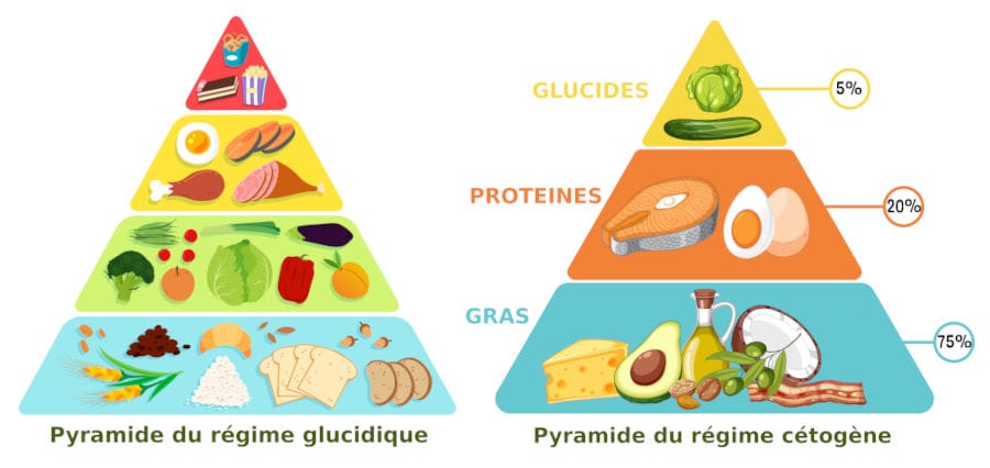 comparaison entre les pyramides de nutrition traditionnelle et du regime cetogene