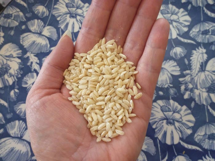 portion de riz dans le creux de la main